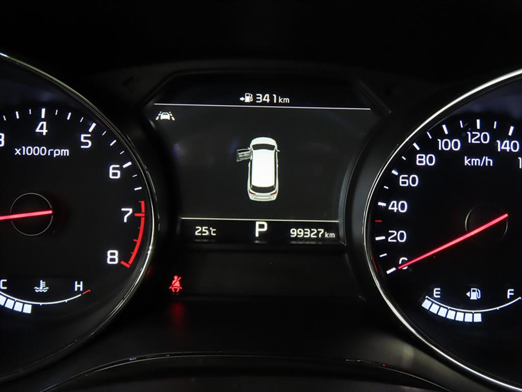 KIA Carnival - Vista 10