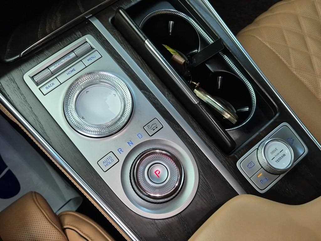 Genesis GV80 - Vista 10