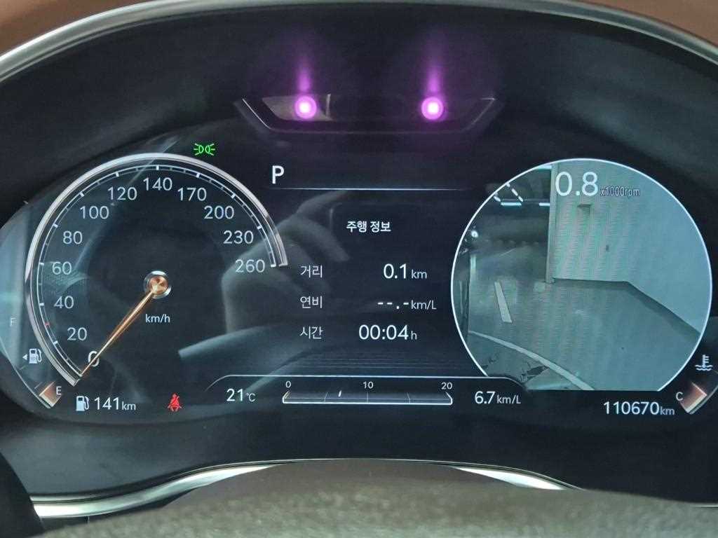 Genesis G80 - Vista 8