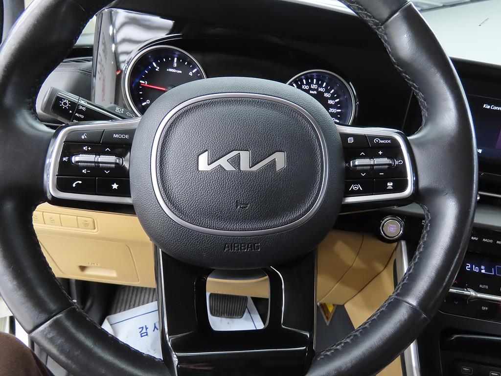 KIA Carnival - Vista 12