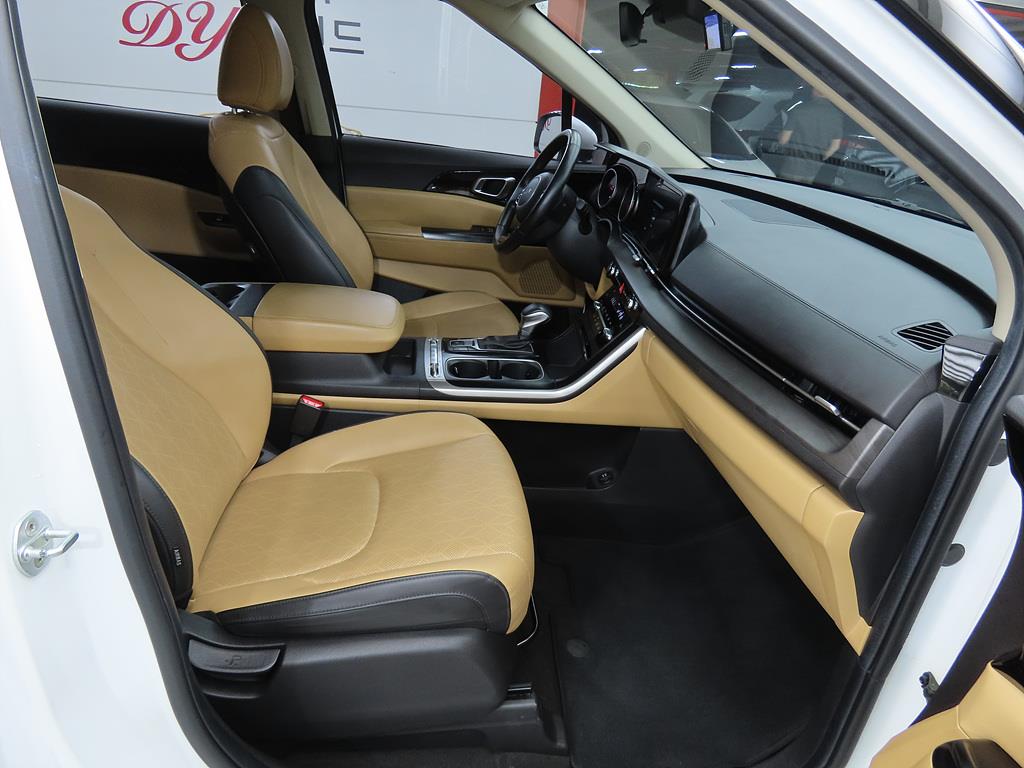 KIA Carnival - Vista 8