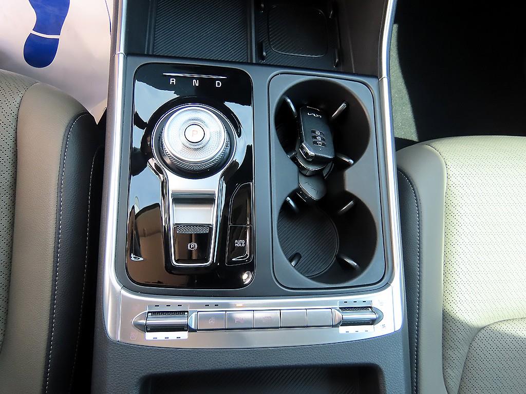 KIA Carnival - Vista 12
