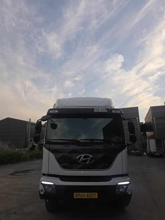 medium and large cargo truck 2020 Blanco - Importación desde Corea - HF Imports Iquique - Foto 1
