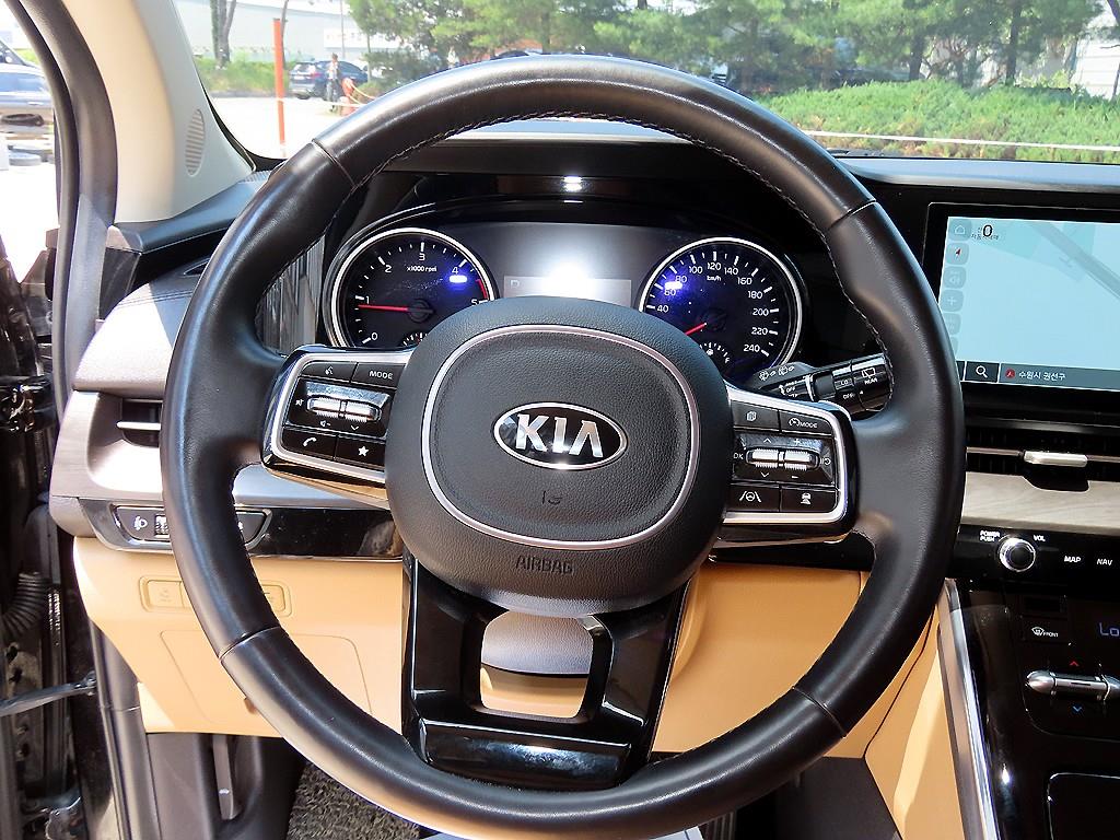 KIA Carnival - Vista 8