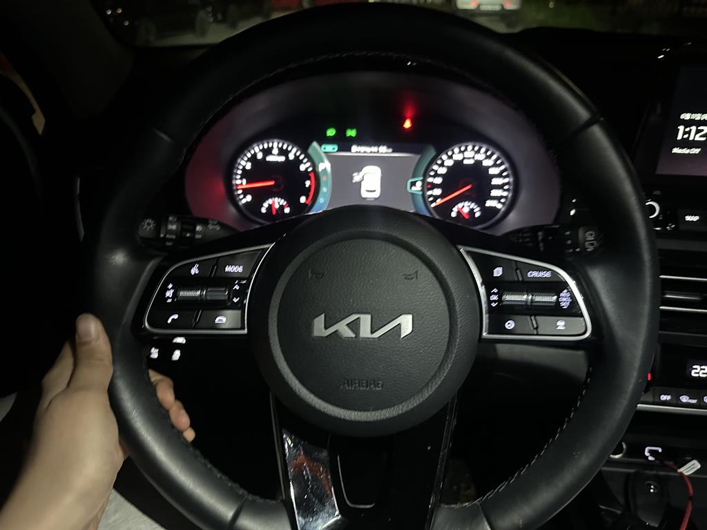 KIA Seltos - Vista 8
