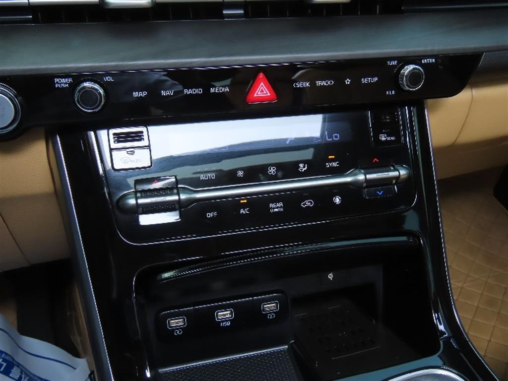 KIA Carnival - Vista 9