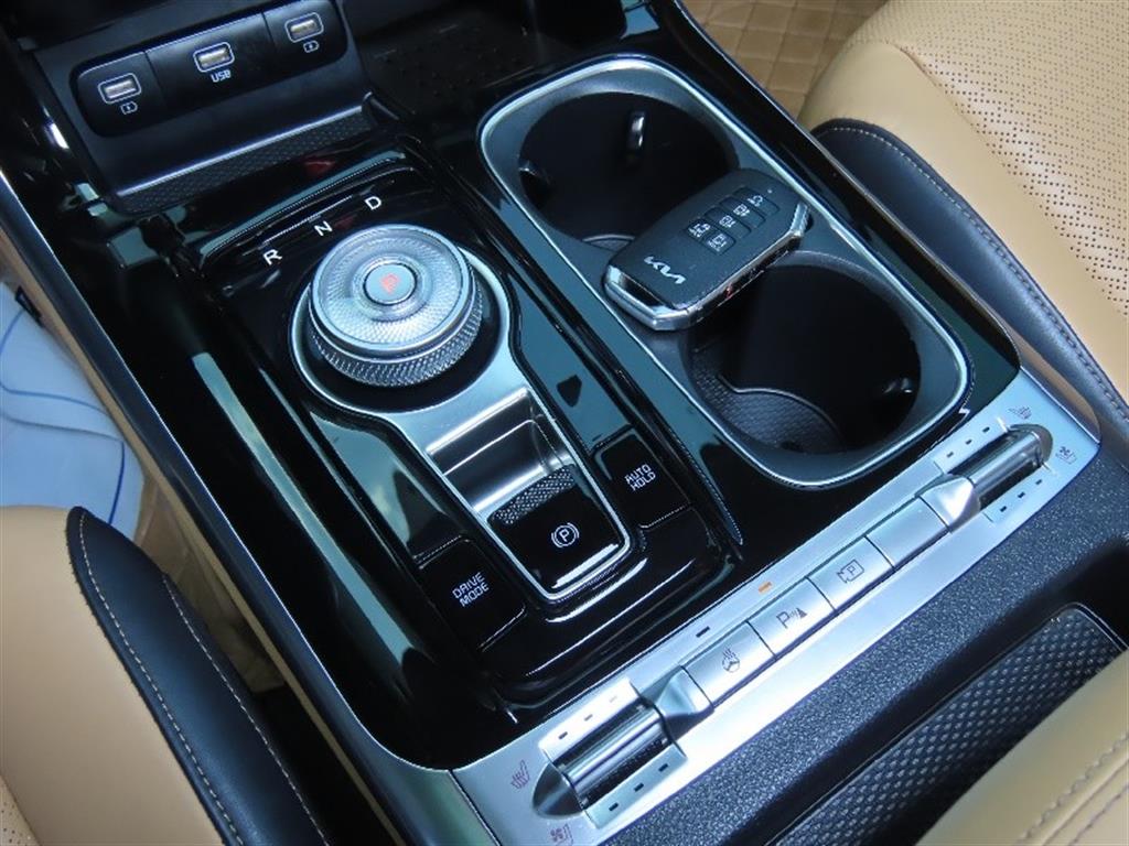KIA Carnival - Vista 8