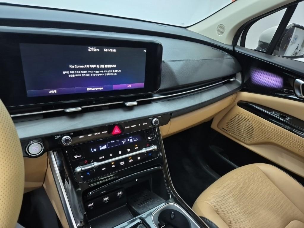 KIA Carnival - Vista 12