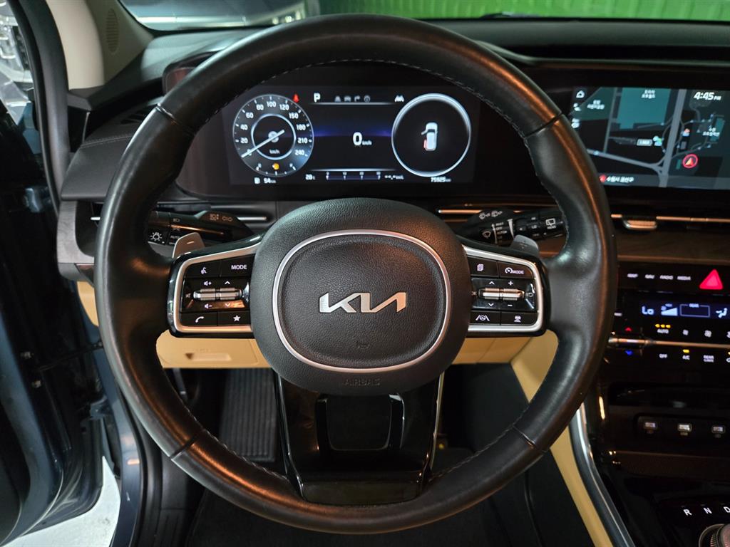 KIA Carnival - Vista 12