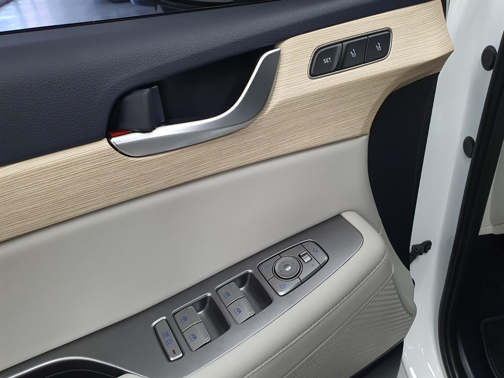 HYUNDAI Palisade - Vista 12