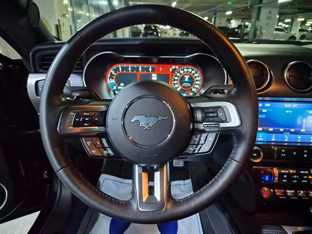 Ford Mustang - Vista 10
