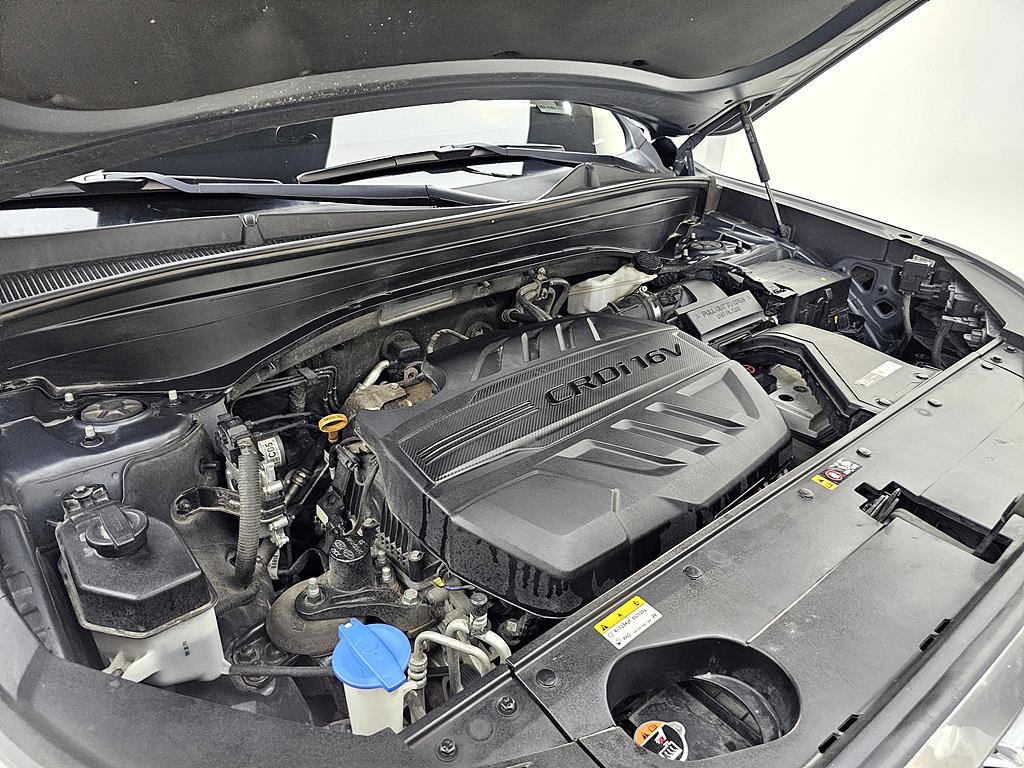HYUNDAI Palisade - Vista 8