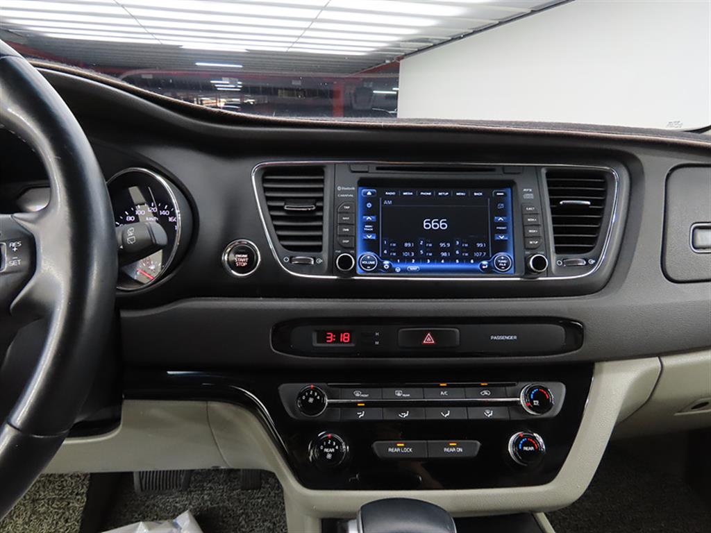 KIA Carnival - Vista 12