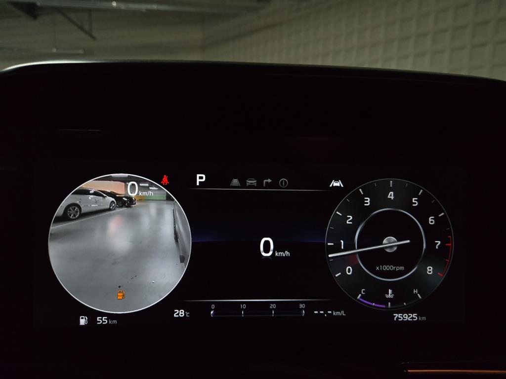 KIA Carnival - Vista 11