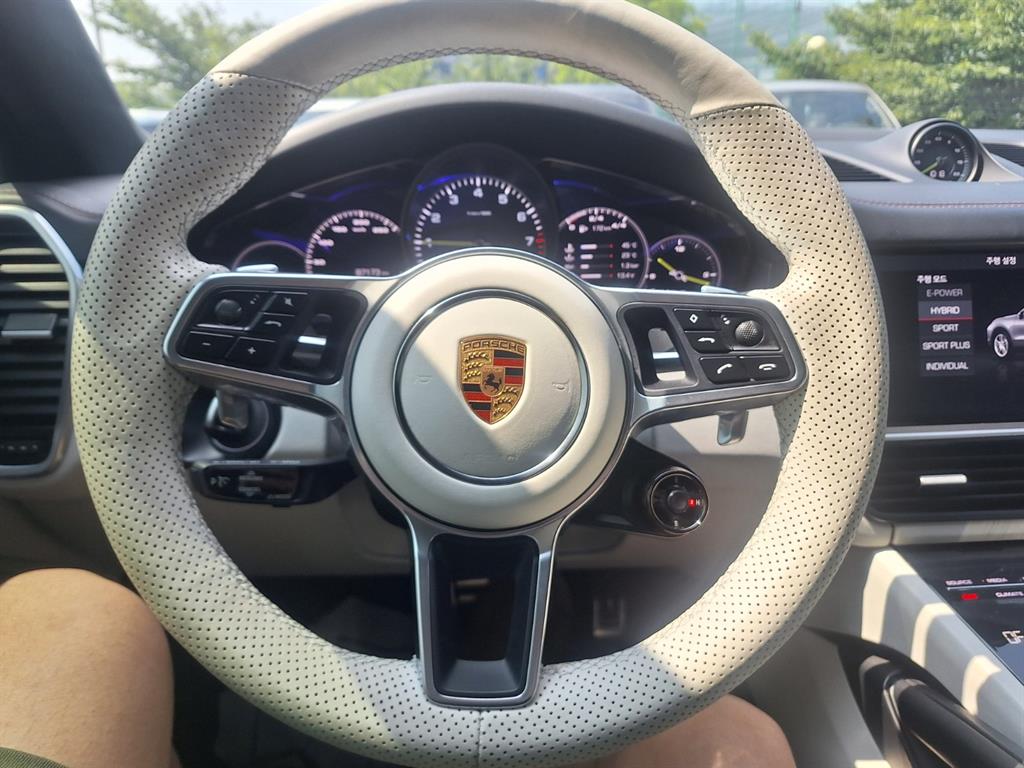 Porsche Cayenne - Vista 11