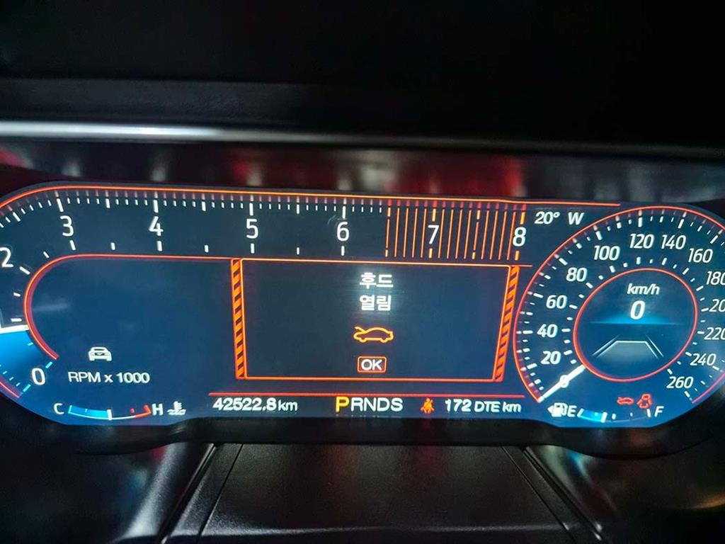 Ford Mustang - Vista 11