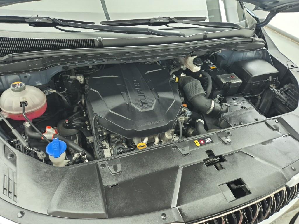 KIA Carnival - Vista 8