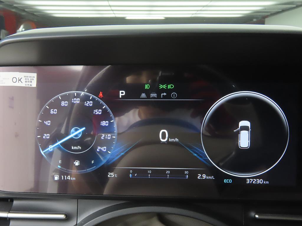 KIA Carnival - Vista 12