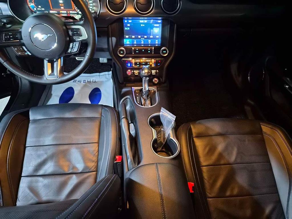 Ford Mustang - Vista 12