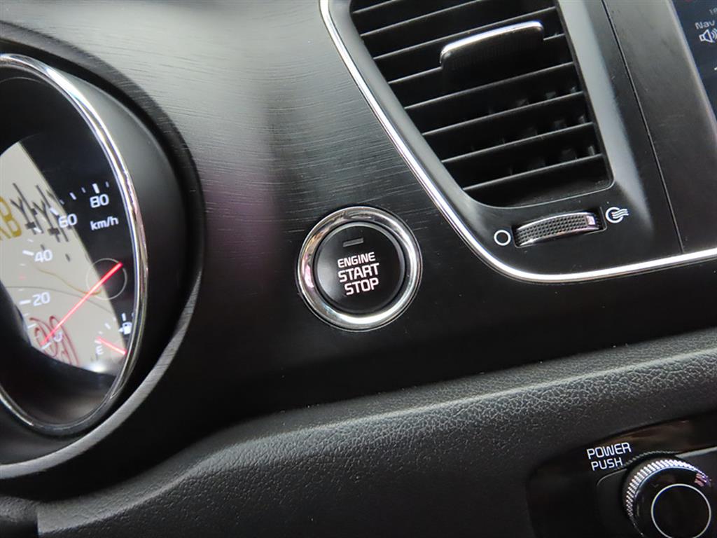 KIA Carnival - Vista 12