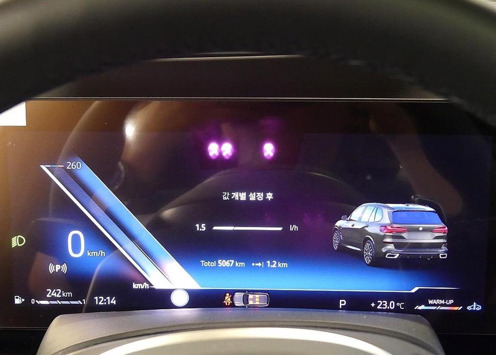 BMW X5 - Vista 8