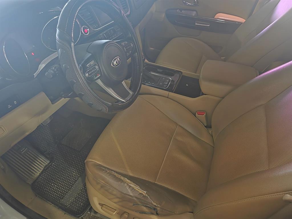KIA Carnival - Vista 8