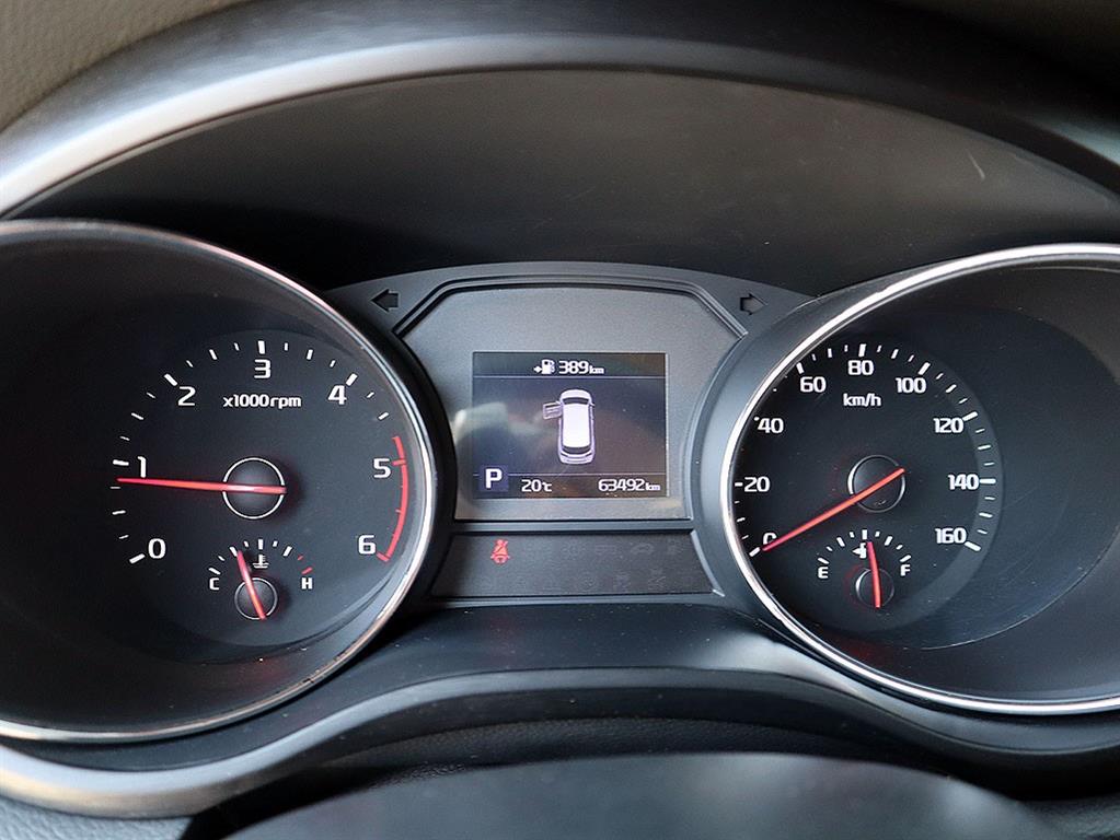 KIA Carnival - Vista 11