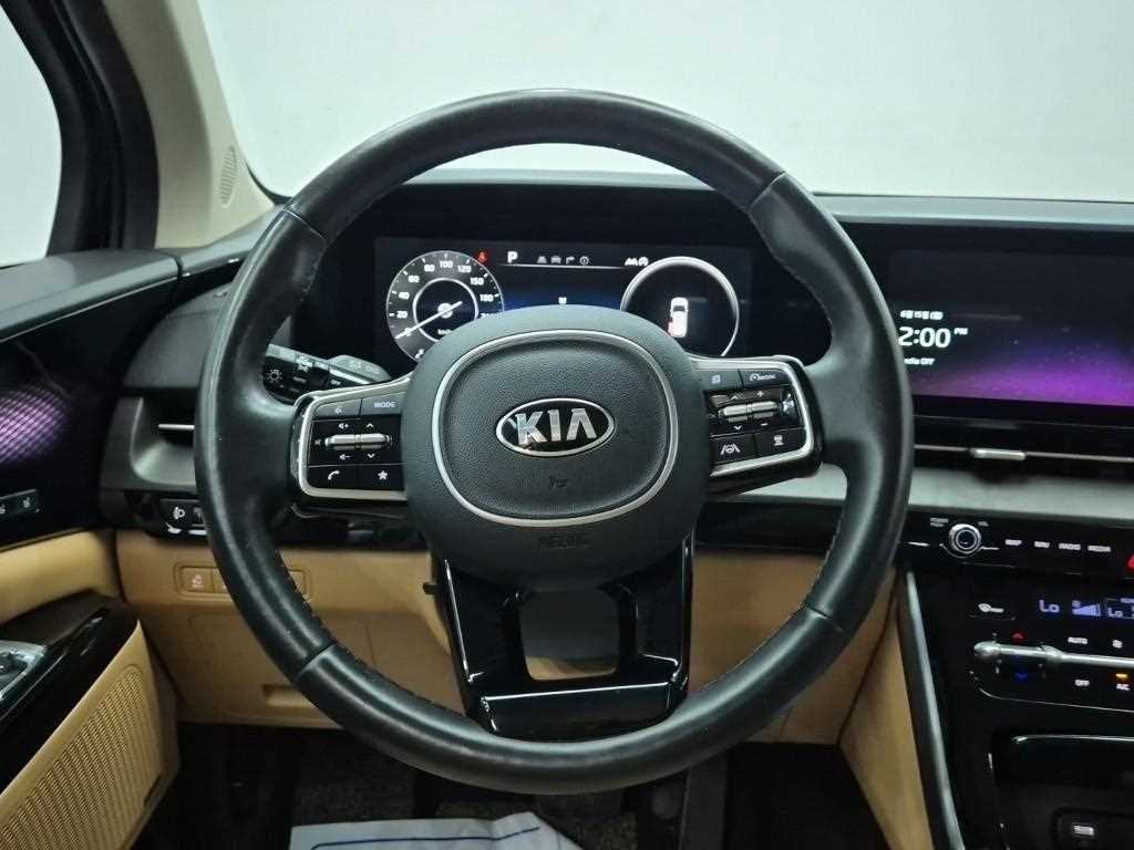KIA Carnival - Vista 11