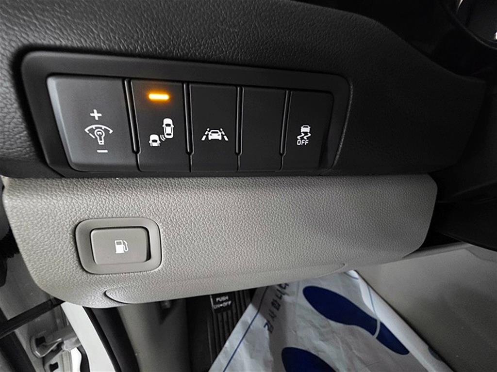 KIA Carnival - Vista 11