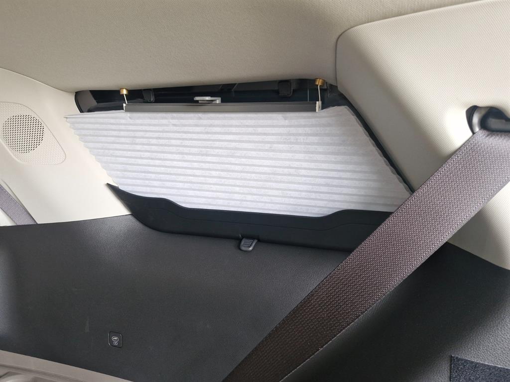 KIA Carnival - Vista 12
