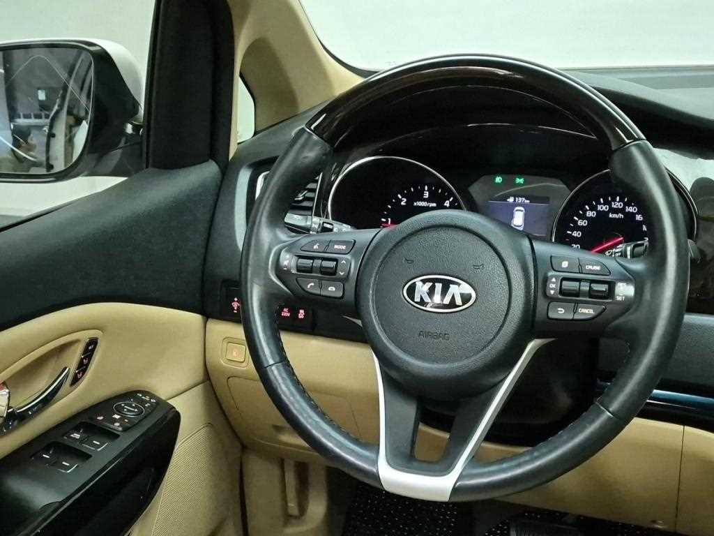 KIA Carnival - Vista 11