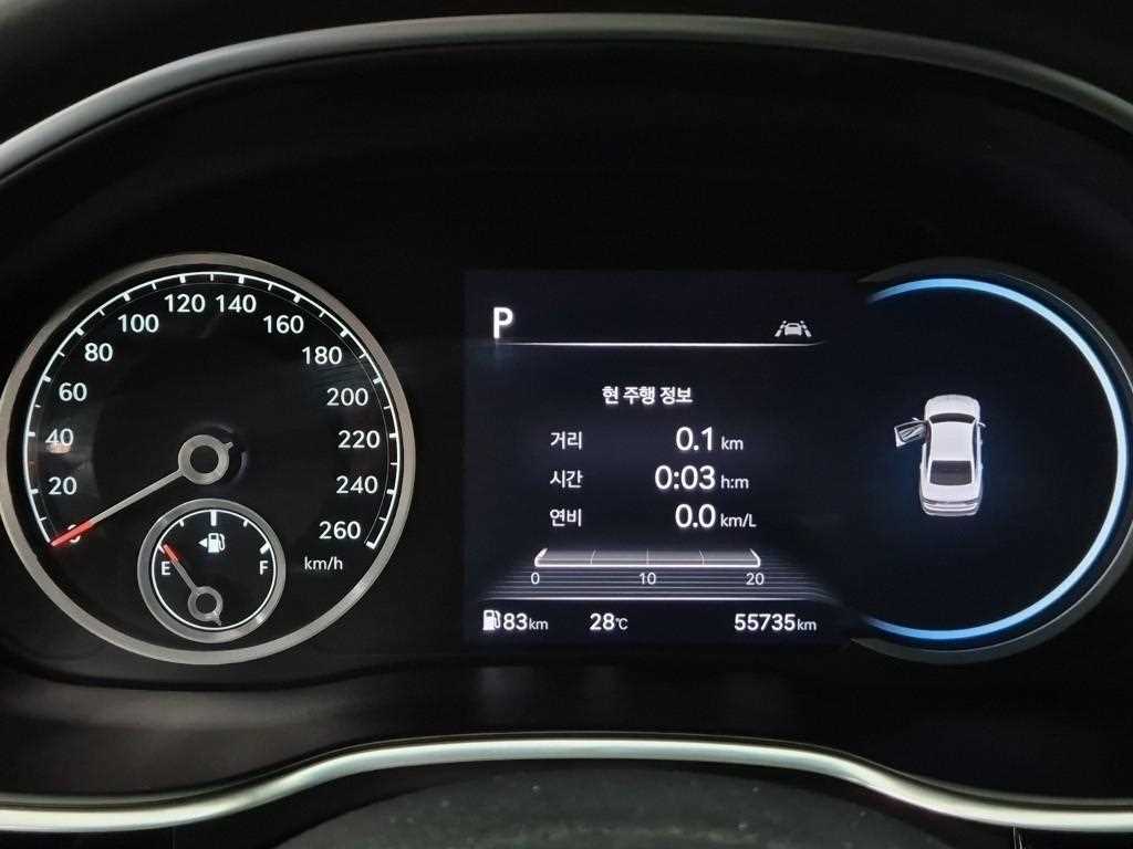 Genesis G80 - Vista 8