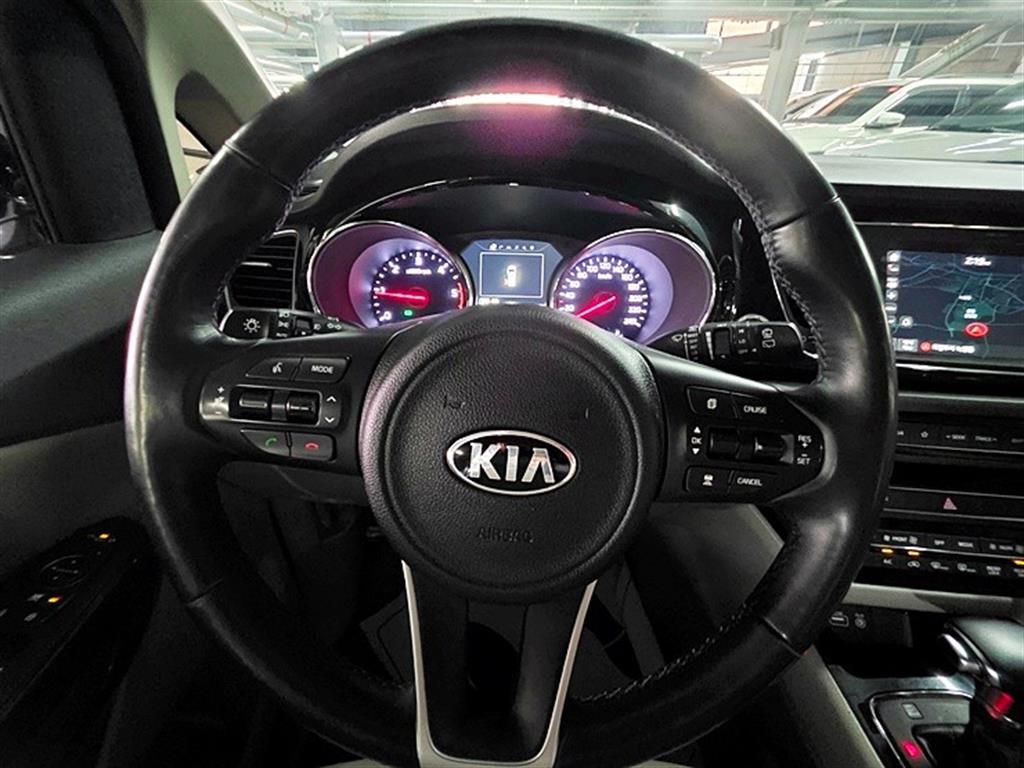 KIA Carnival - Vista 12