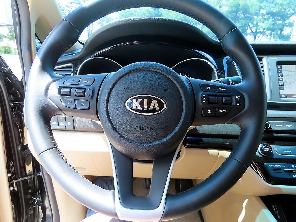 KIA Carnival - Vista 11