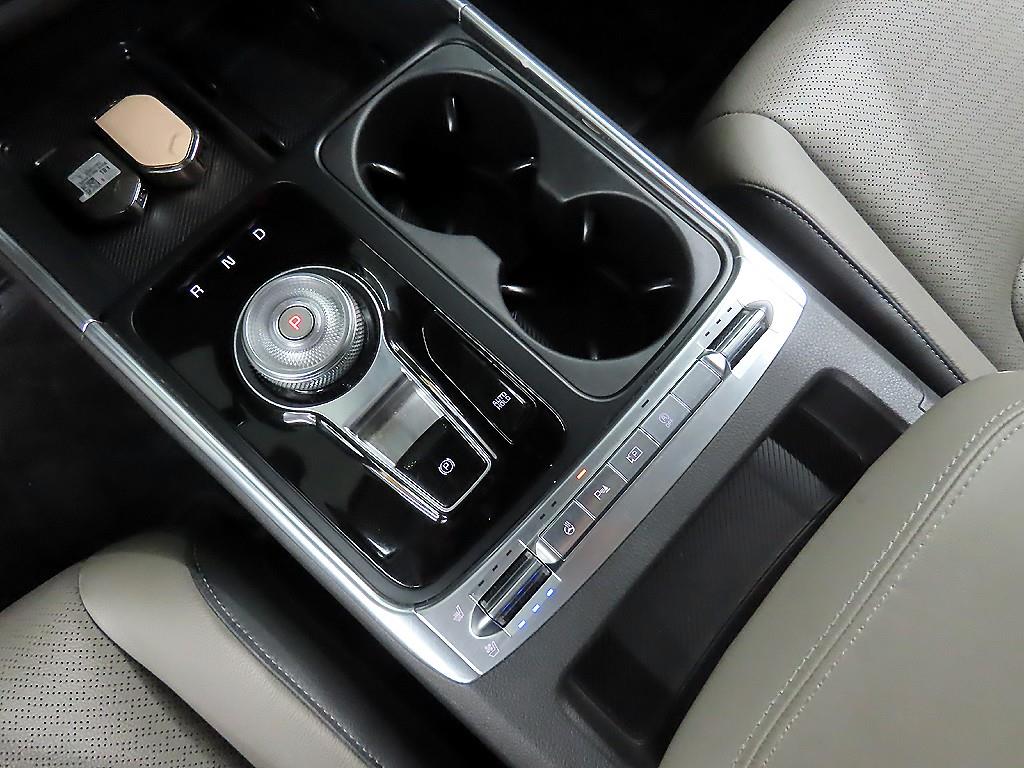 KIA Carnival - Vista 12