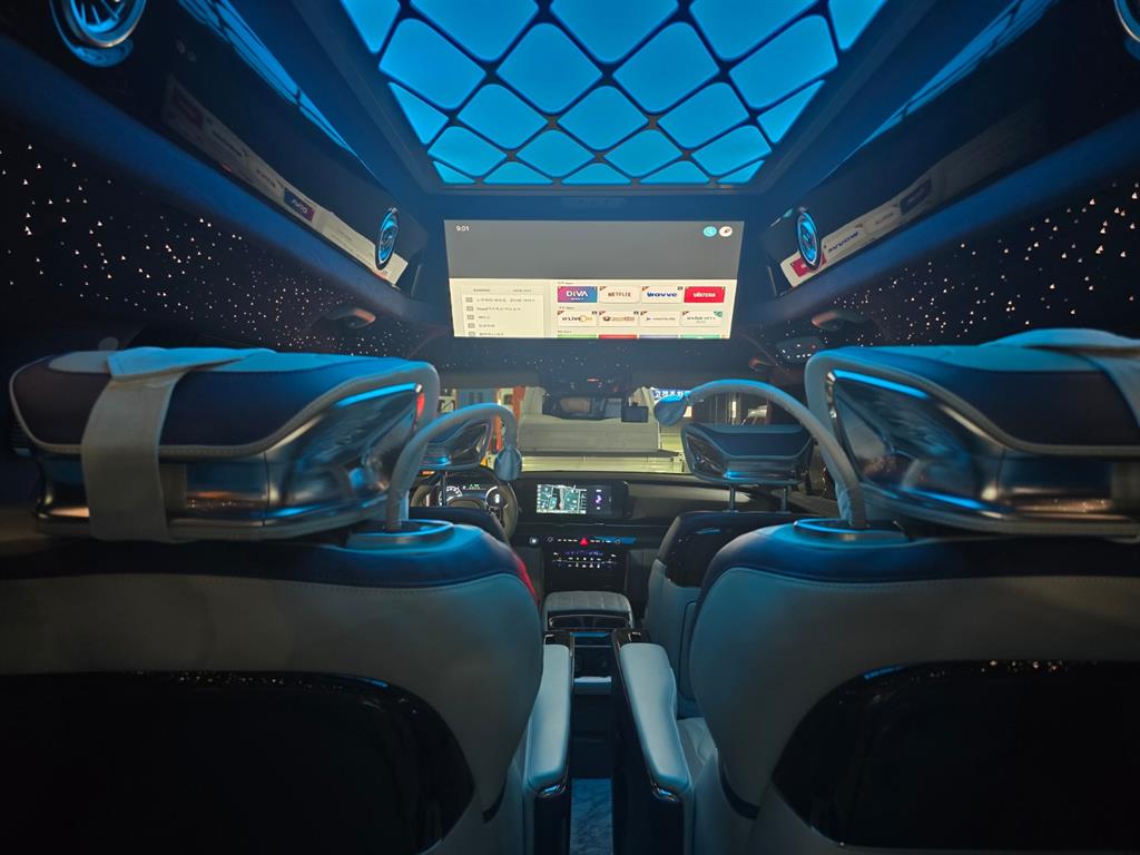 KIA Carnival - Vista 2