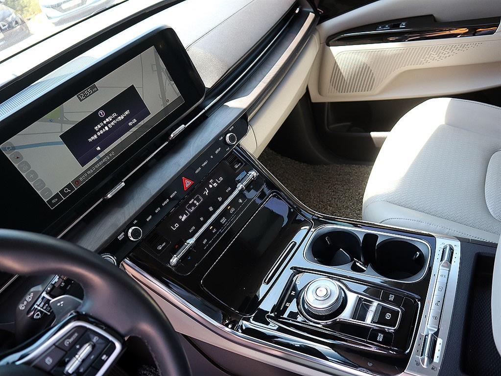 KIA Carnival - Vista 12
