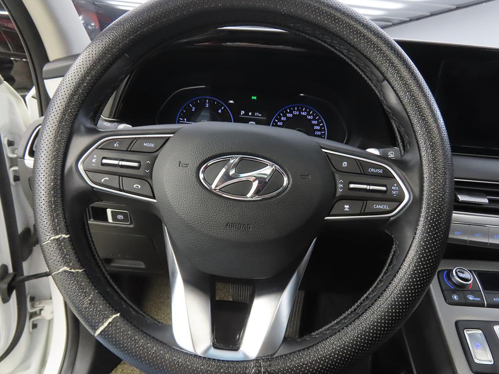 HYUNDAI Palisade - Vista 10