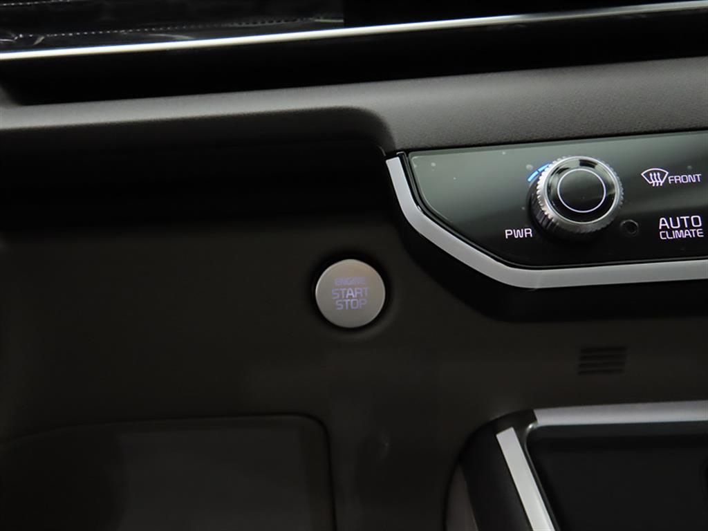 KIA Carnival - Vista 12