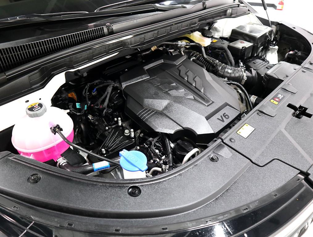 KIA Carnival - Vista 8