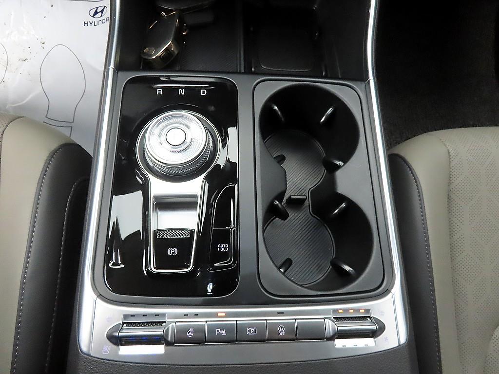 KIA Carnival - Vista 12