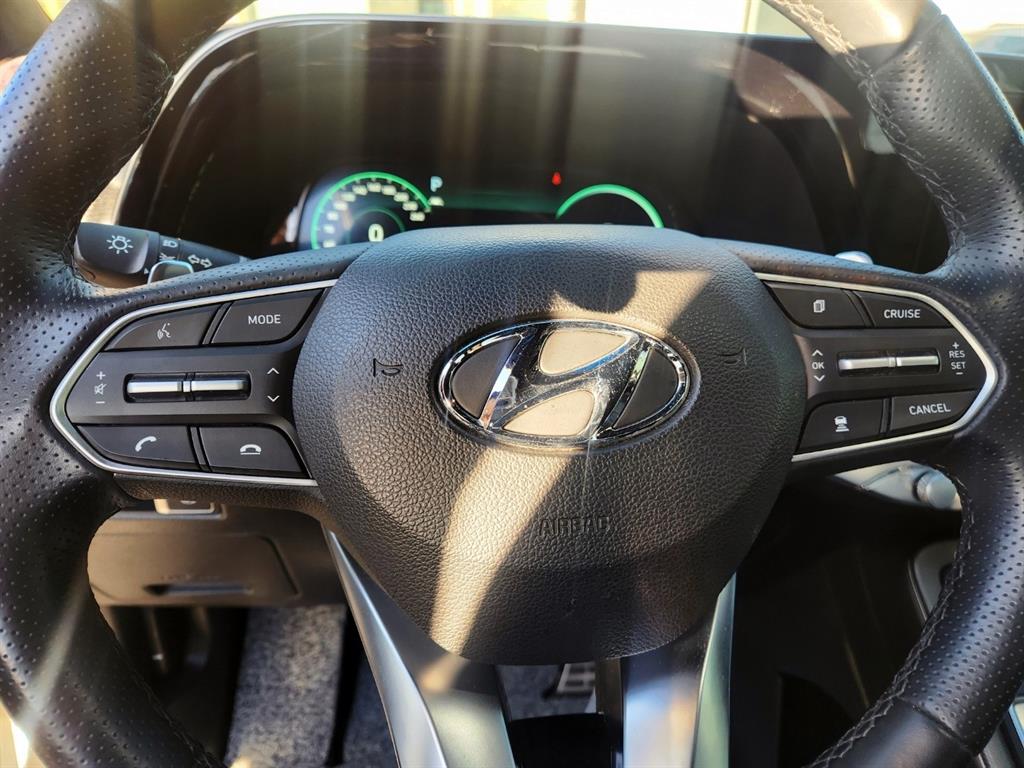 HYUNDAI Palisade - Vista 12