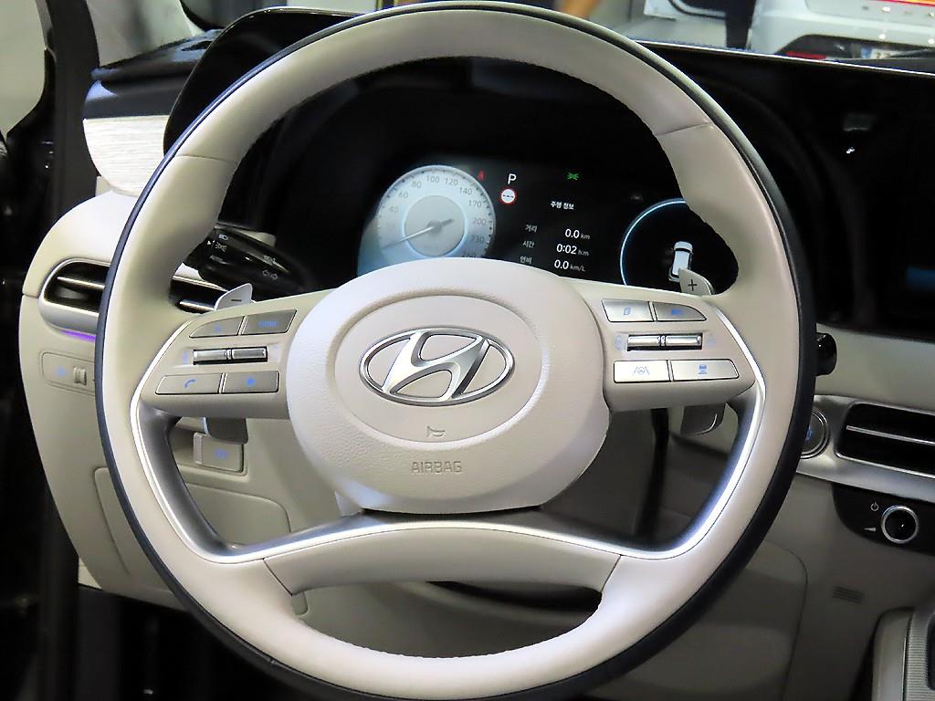 HYUNDAI Palisade - Vista 10