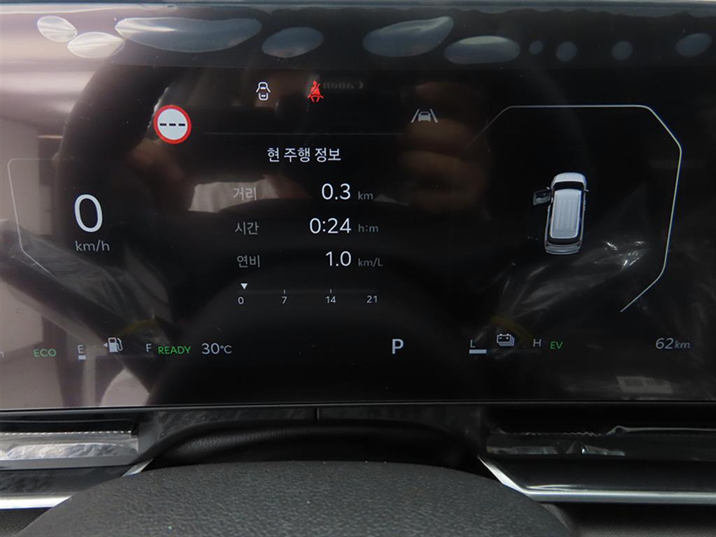 KIA Carnival - Vista 10