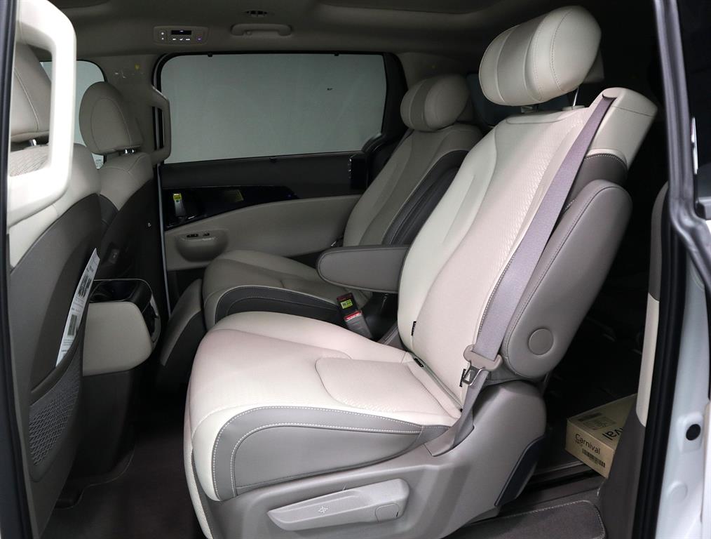 KIA Carnival - Vista 12