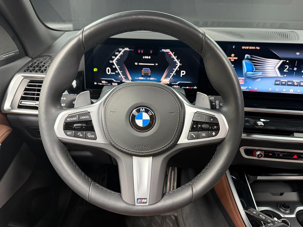 BMW X5 - Vista 10