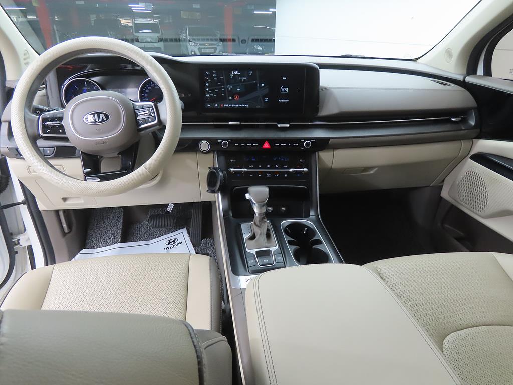 KIA Carnival - Vista 9