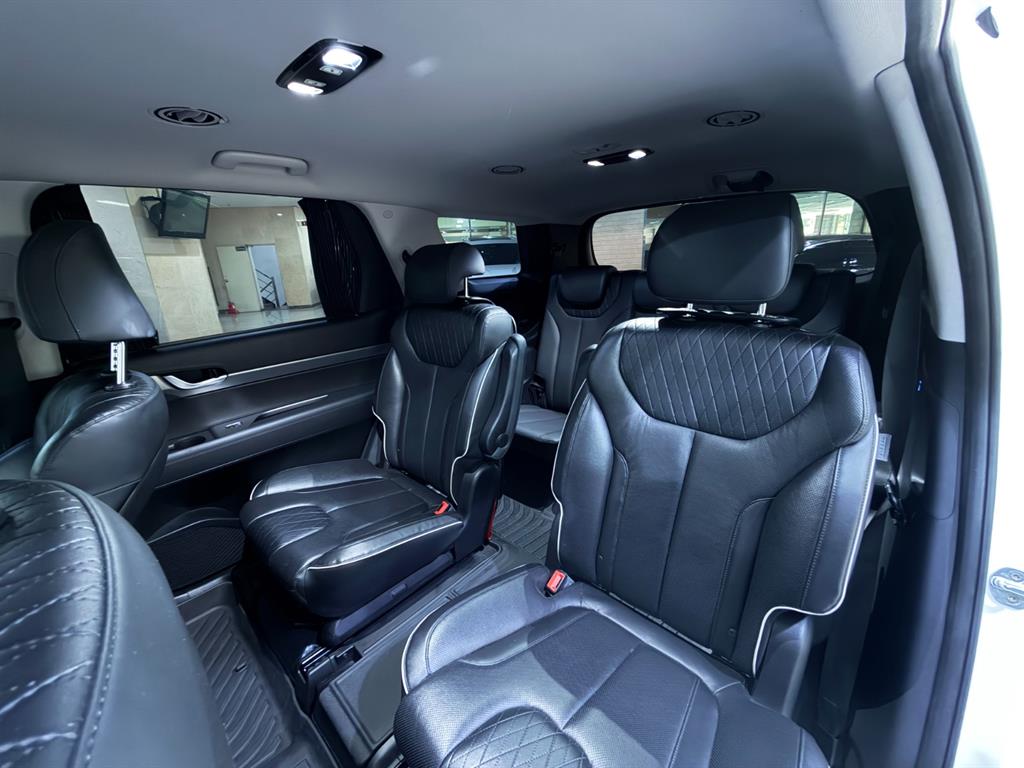 HYUNDAI Palisade - Vista 10