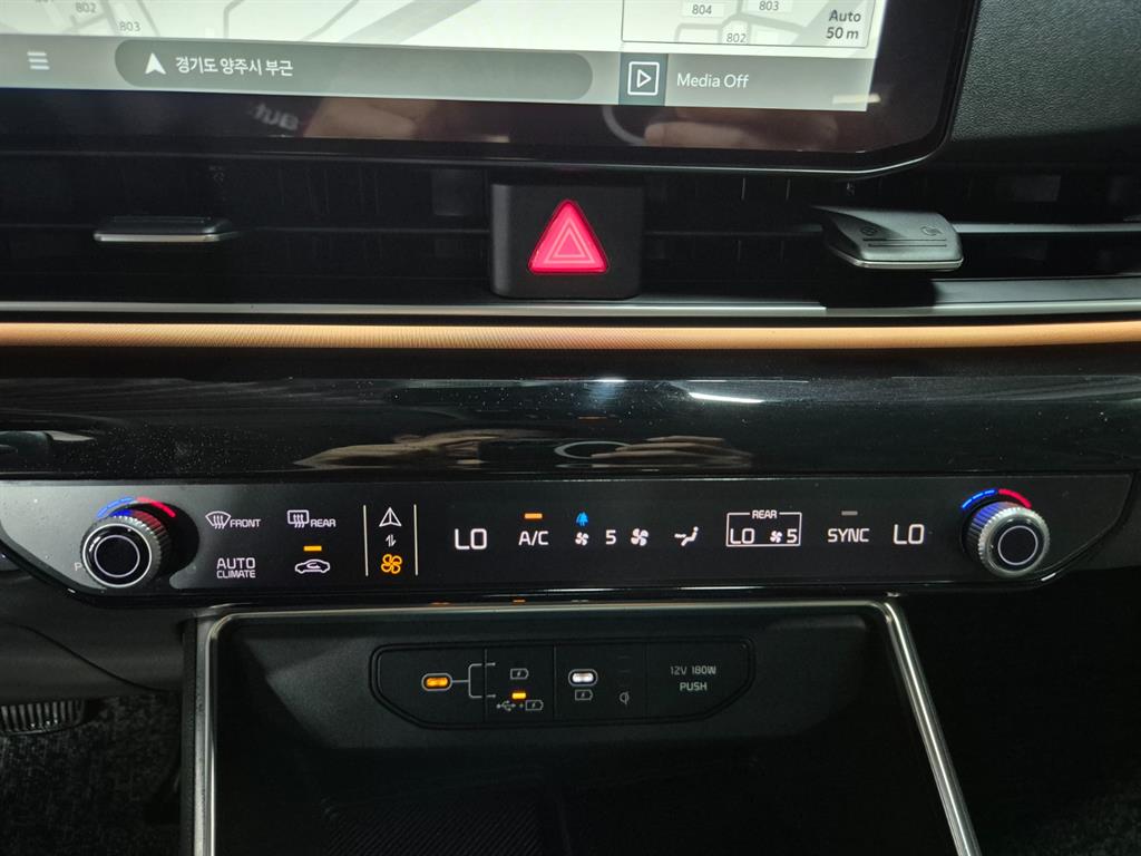 KIA Carnival - Vista 12