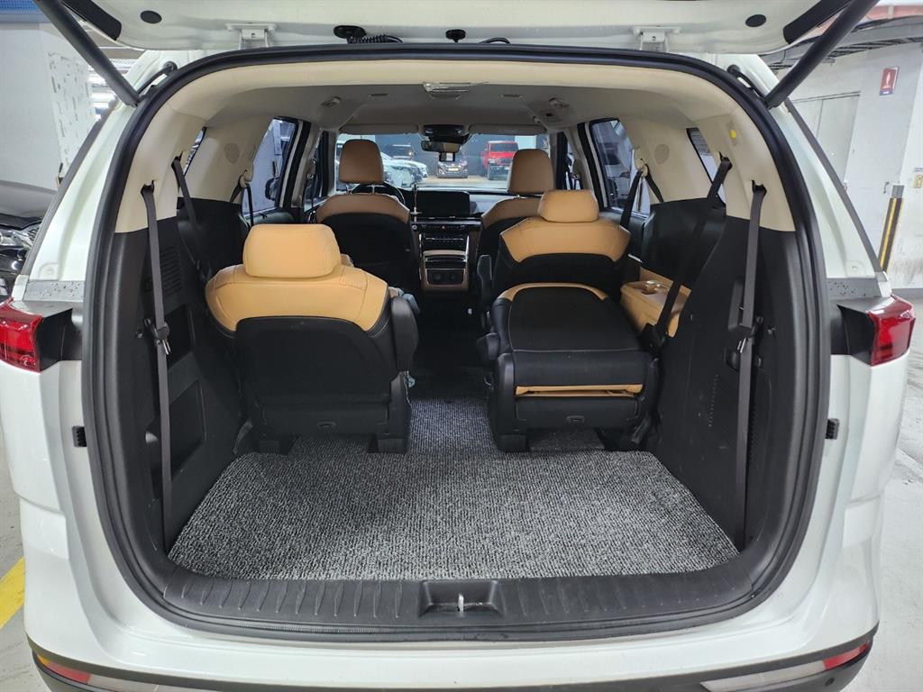 KIA Carnival - Vista 9